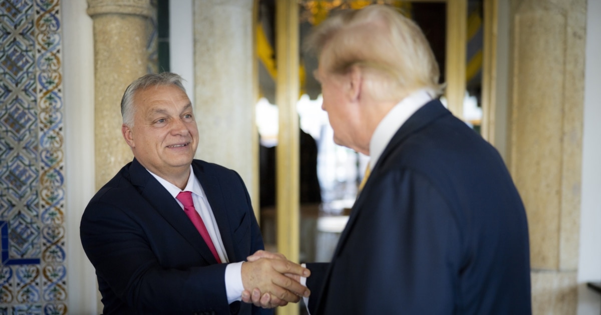 Средба Трамп-Орбан во Белата куќа, најавен договор за соработка во нуклеарната енергија