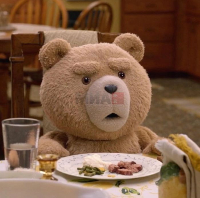 БЕЗОБРАЗНО МЕЧЕ: Давало експлицитни и опасни сексуални совети, запрена продажбата на кадифеното мече со вештачка интелигенција