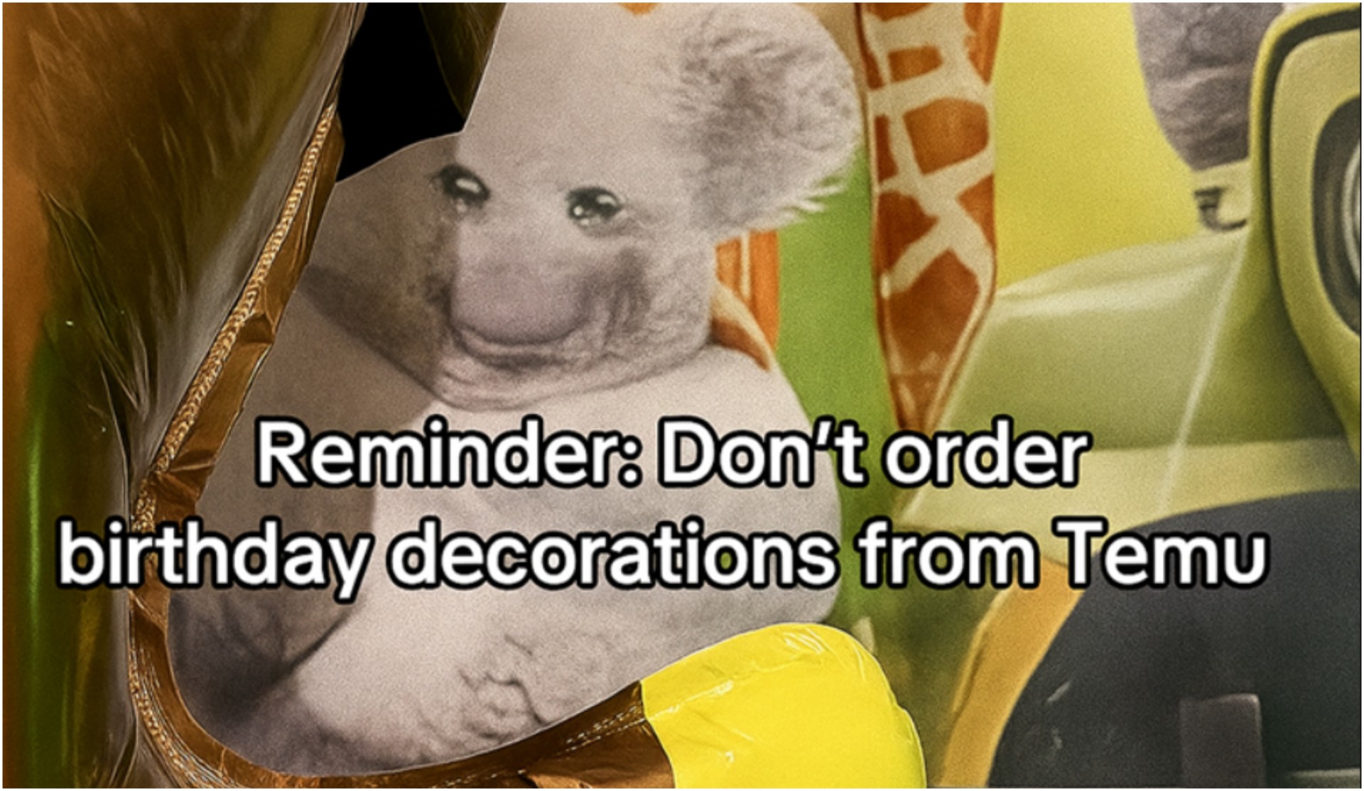 Нарачала роденденска декорација за детото од Тему, останала без зборови кога видела што добила ВИДЕО