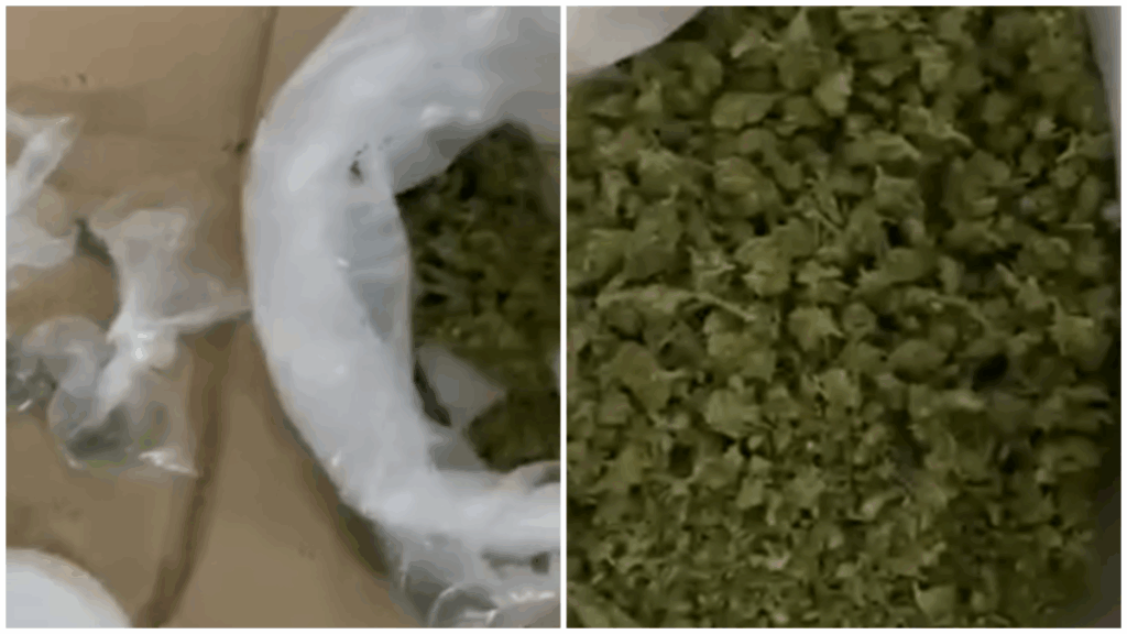 Приведен скопјанец: При преглед кај него и престрес на дом пронајдени околу два килограми марихуана!