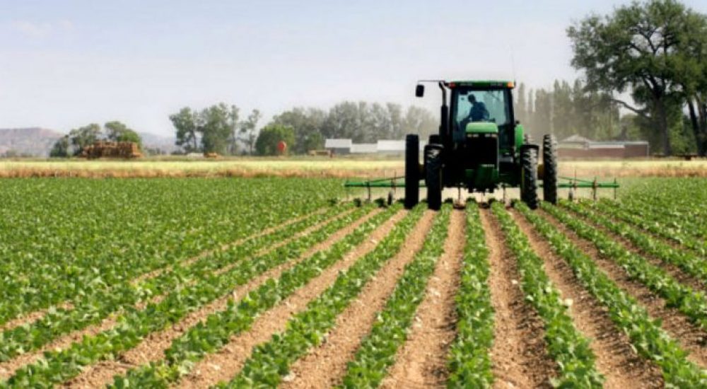 Временските услови поволни за земјоделството, добредојдени и најавените врнежи