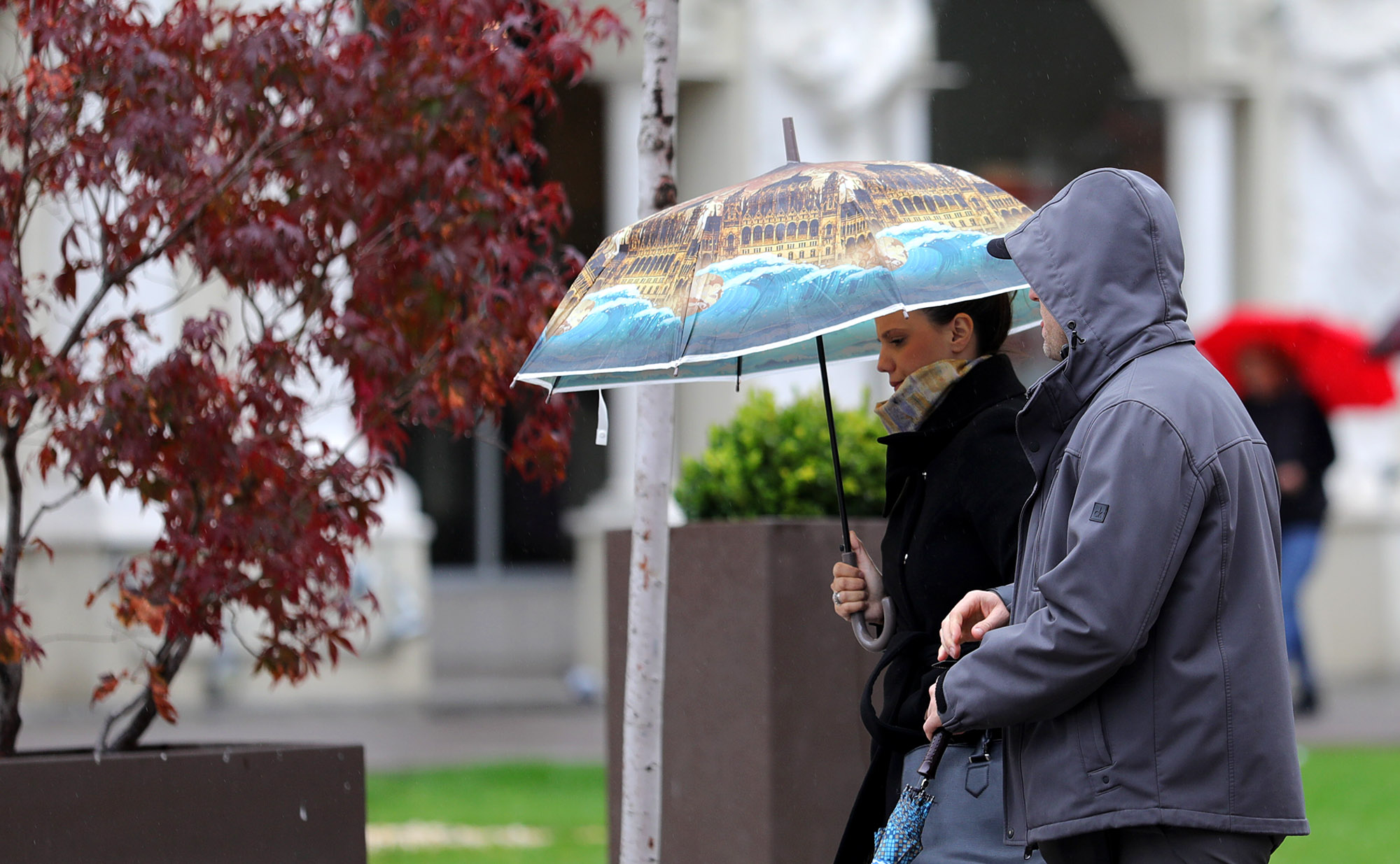 Завршува убавото време, од вторник дожд и силен ветер