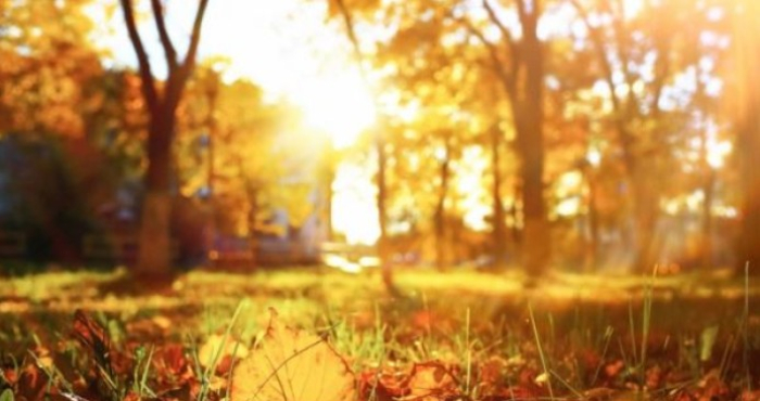 Утрото студено, а потоа сончево со температура до 20 степени