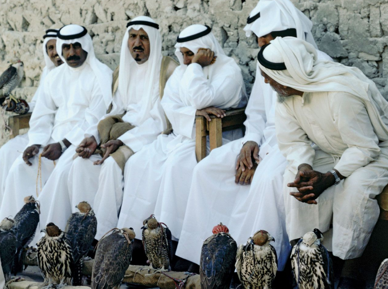 Катарски милијарди во американските школи