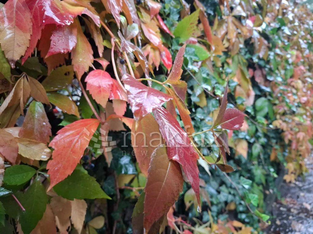 Претежно облачно со повремени локални врнежи од дожд