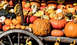 5 ЕСЕНСКИ НАМИРНИЦИ ОД ЛИСТАТА НА ПОЗНАТ КАРДИОЛОГ: „Изненадувачки добри за вашите крвни садови и срце“