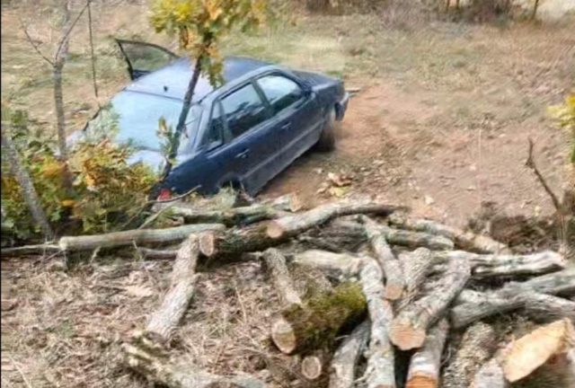 Дрвокрадци фатени при растоварање