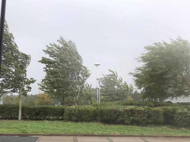 Метео аларм: Силен северен ветер над 60 км/ч денеска во Повардарието и на истокот