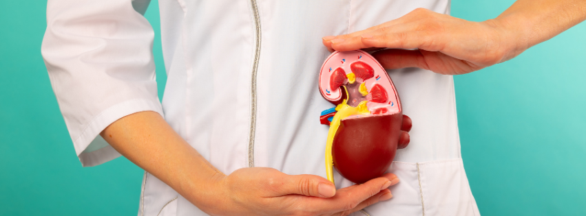 Може ли ПОКАЧЕНАТА ТЕЖИНА да влијае на здравјето на БУБРЕЗИТЕ?