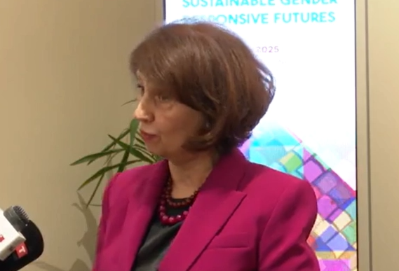 Сиљановска Давкова: Национален консензус околу гаранциите, ЕУ мора да најде решение да не држи во кондиција