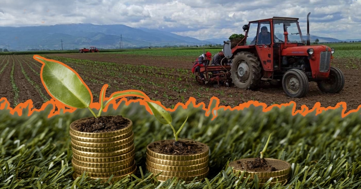 Статус кво по ИПАРД аферата: Компании се уште чекаат исплати