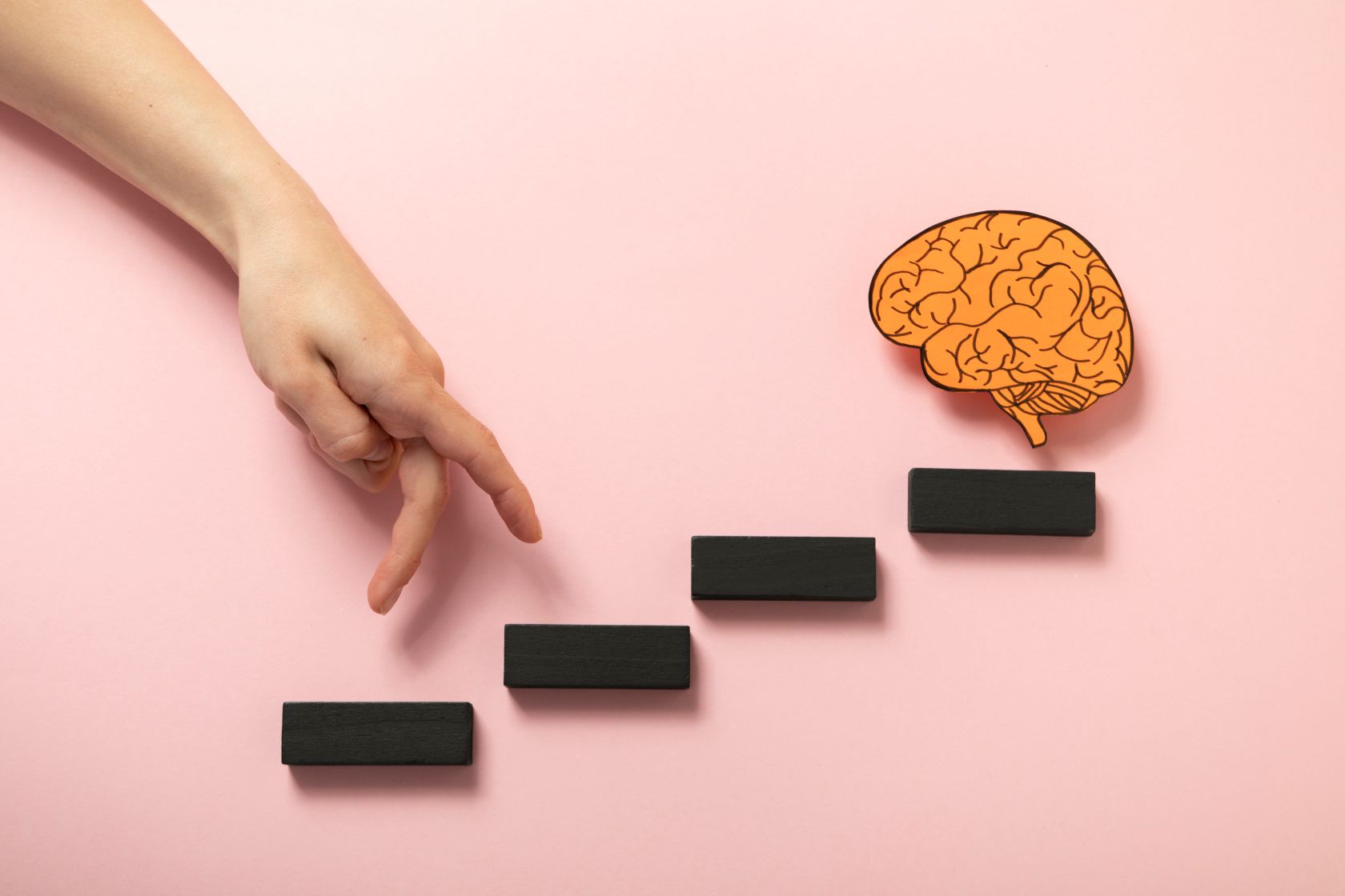 МОЗОКОТ ПОМИНУВА НИЗ ПЕТ ФАЗИ ВО ТЕКОТ НА ЧОВЕЧКИОТ ЖИВОТ