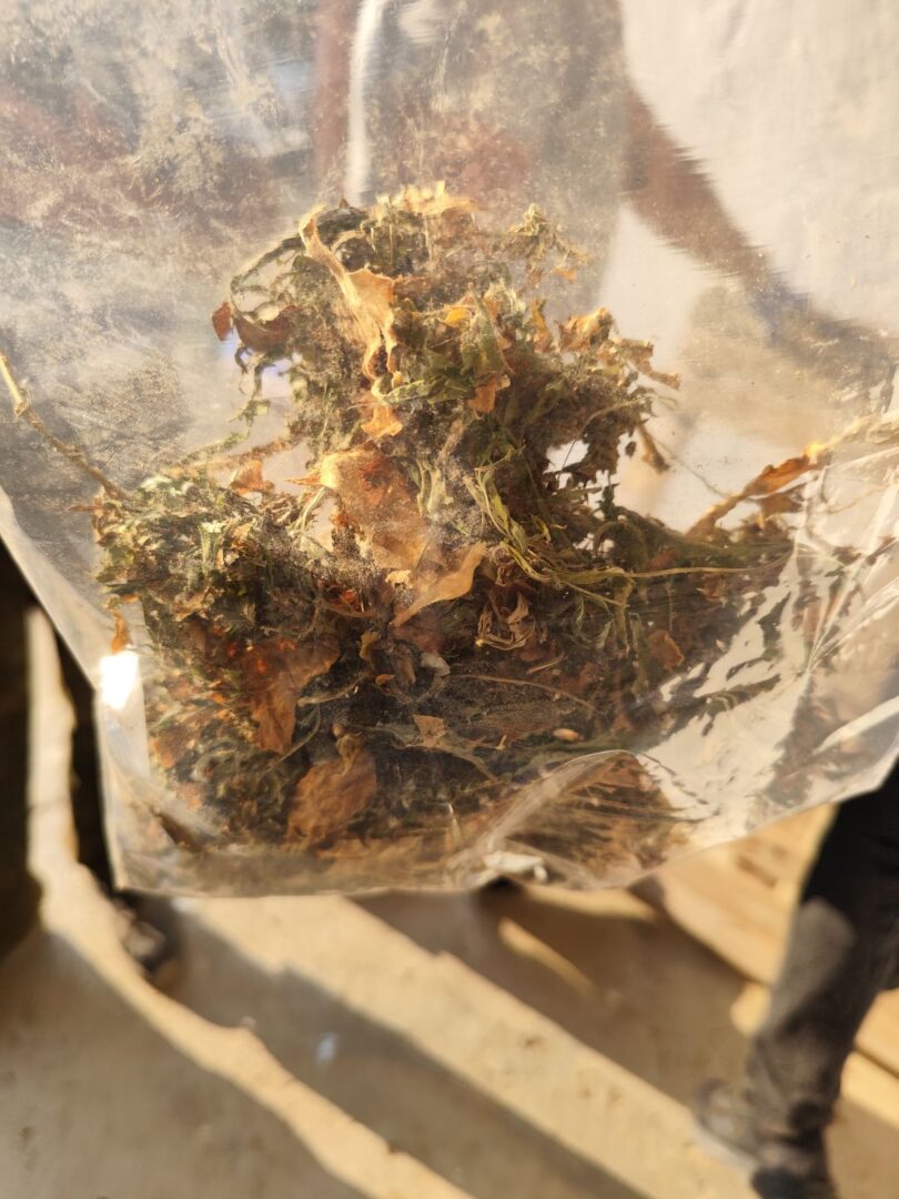 Претрес во Струмица, пронајдена дрога, лишено од слобода едно лице