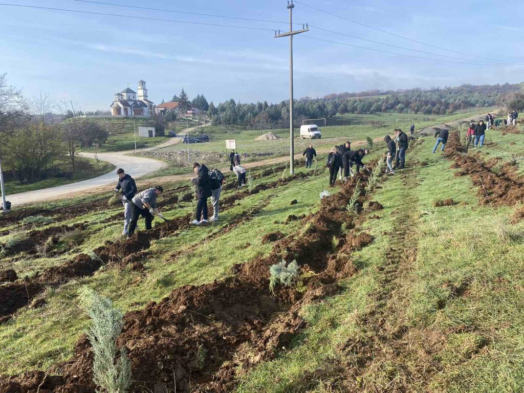Општина Илинден: Успешно спроведена акцијата за пошумување