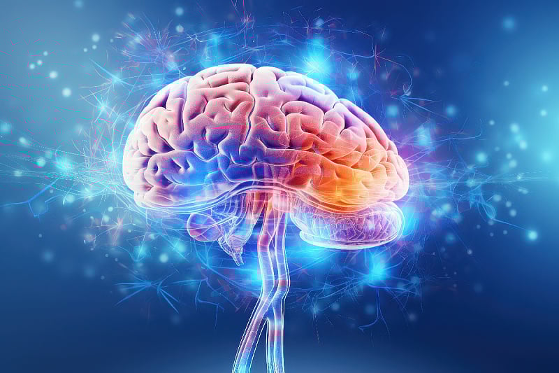 Скриен сигнал од мозокот може да го заштити срцето од стареење