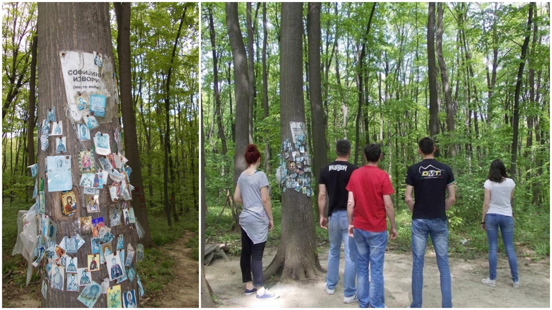 „Круговите на Софија“: Тука доаѓаат и здрави и болни луѓе -Најмистериозното место кое се наоѓа многу блиску до нас