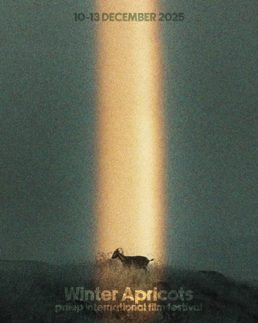 Време е за „Зимските кајсии“ во Прилеп – фестивалот што 10 години докажува дека и краткиот филм е голем филм