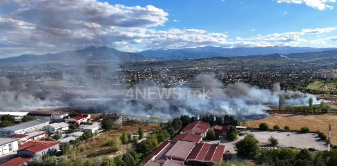 Екокриминал без казна: Кога уништувањето на природата не се препознава како кривично дело