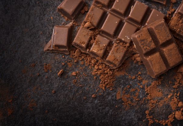 Чоколадото би можело да исчезне до 2050 година