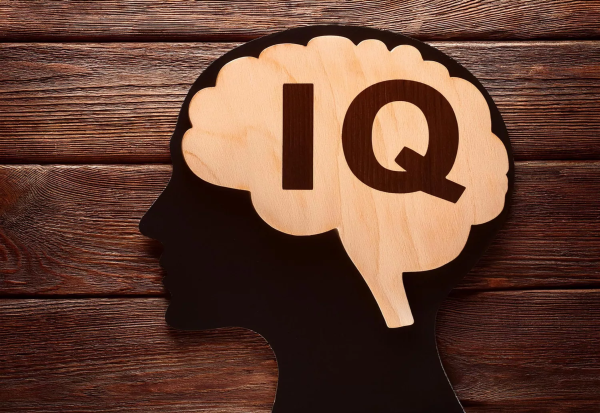 Во најпаметната земја на светот просечниот IQ е 99,24