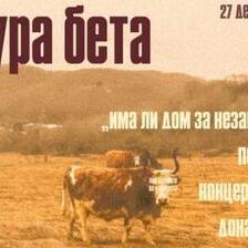 „Под роговите на упорноста“ – „Култура Бета“ го заокружува циклусот настани во „Буква“