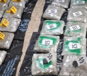 (ВИДЕО) Заплена на дрога во Струшко, во возило пронајдени 62 пакувања марихуана