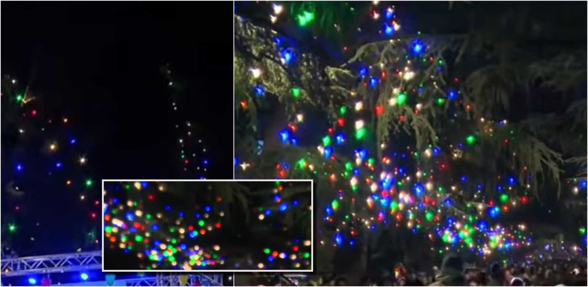 По големиот пожар, новогодишни декорации: Волонтери поставија светилки на опожарени дрвја и ја направија најубавата празнична декорација