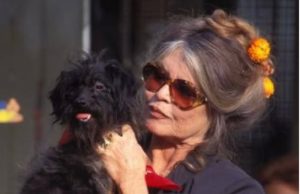 ОТКРИЕНО КОМУ ЌЕ ПРИПАДНЕ ОГРОМНОТО БОГАТСТВО НА БРИЖИТ БАРДО: Во тестаментот немало ниту еден збор за единствениот син, до последен долар им остава ним!