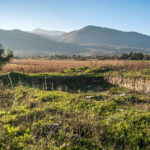 Велушката Тумба – предисториска населба во Македонија