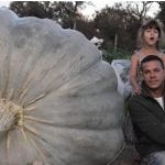 Зимска тиква – богатa со витамини А, Ц и калиум, a содржи и многу влакна, што помага за дигестијата