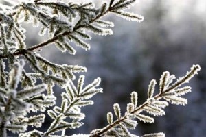 Прогноза: Нема екстремна зима, но следуваат студени бранови