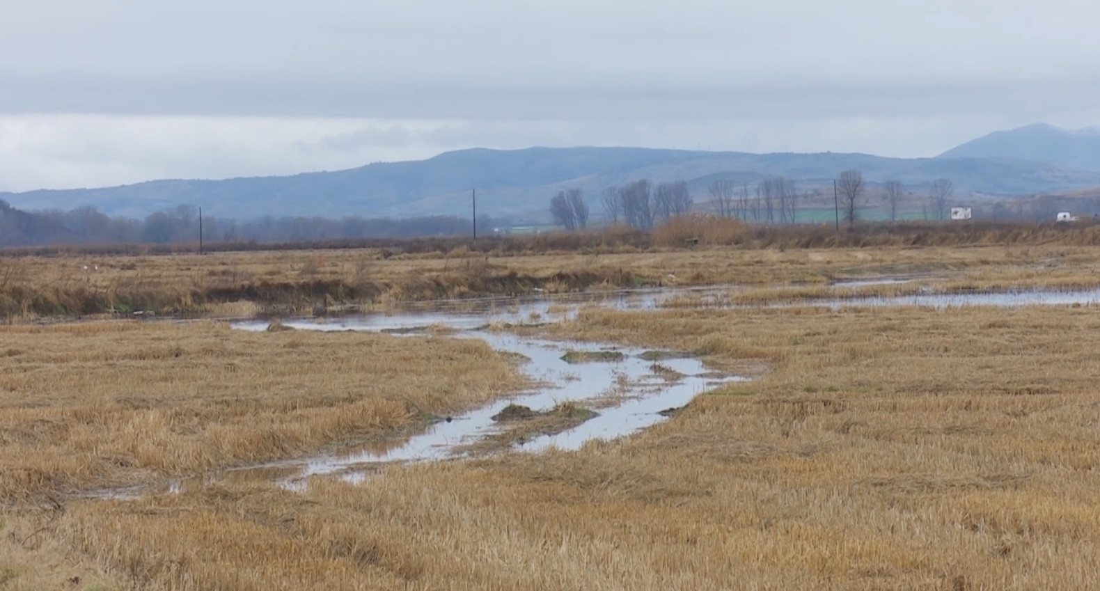 Врнежите ја пролонгираа есенската сеидба