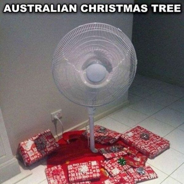 Несекојдневни новогодишни украси (24 слики)