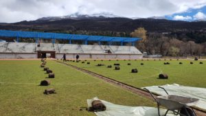 МВР поднесе кривична пријава против две лица од Општинскиот фудбалски сојуз на Охрид