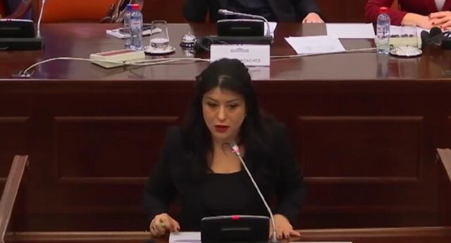 Мојсоска: Злоупотреба е кога со години се дозволува да работи „дискотеката на смртта“, кога инспектори земаат мито, кога началници игнорираат прекршoци…