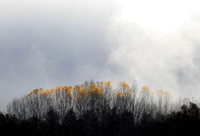 Утрово најстудено во Берово, измерени -7 степени