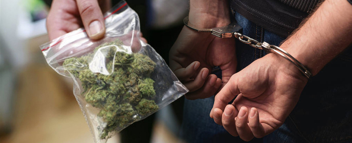 Татко и син осомничени за илегална трговија со марихуана во гевгелиско