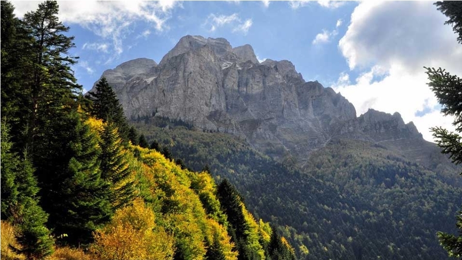 Кривична за две лица кои бесправно изградиле бетонски столбови на Шар Планина