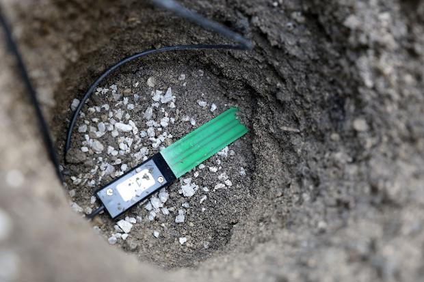 Виена терстира паметни сензори за наводнување на дрвја