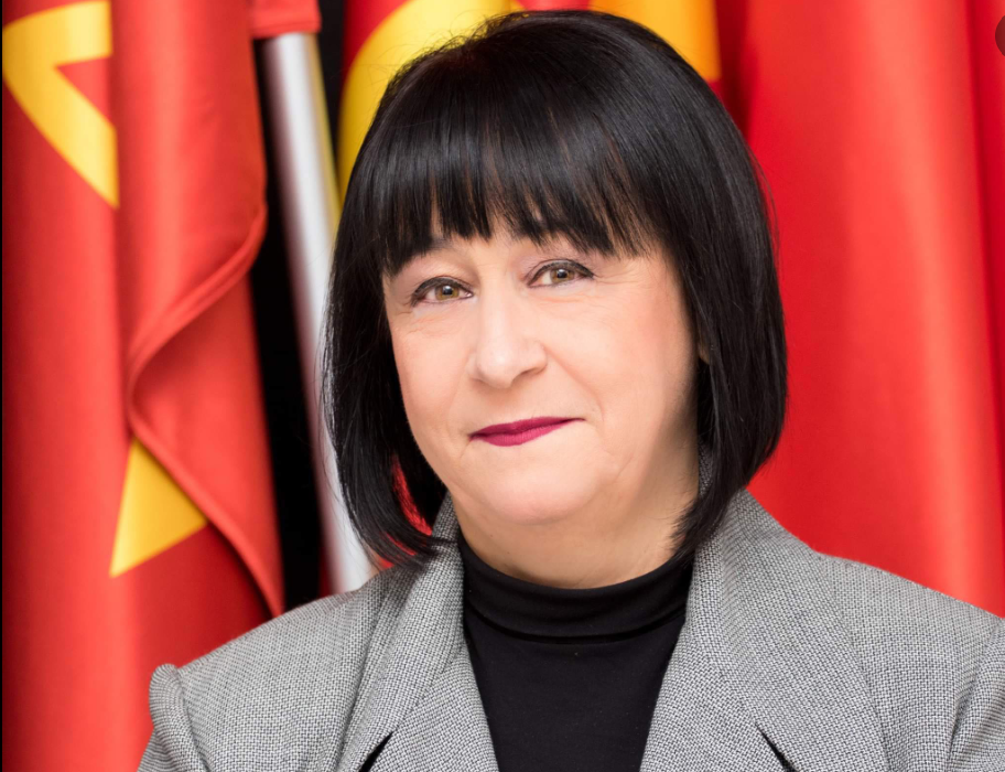 „ОВИЕ УШТЕ НЕ СЕ ПОГЛЕДНАЛЕ ВО ОГЛЕДАЛО И НИШТО НЕ НАУЧИЛЕ ОД СВОЈОТ ПАД“: Ванковска за СДСМ и изјавите за мигрантите