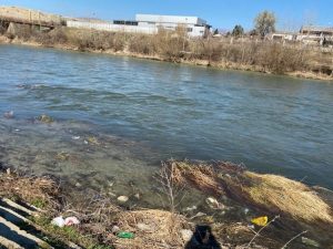 Тело на 71-годишен маж од Скопје е пронајдено во Вардар