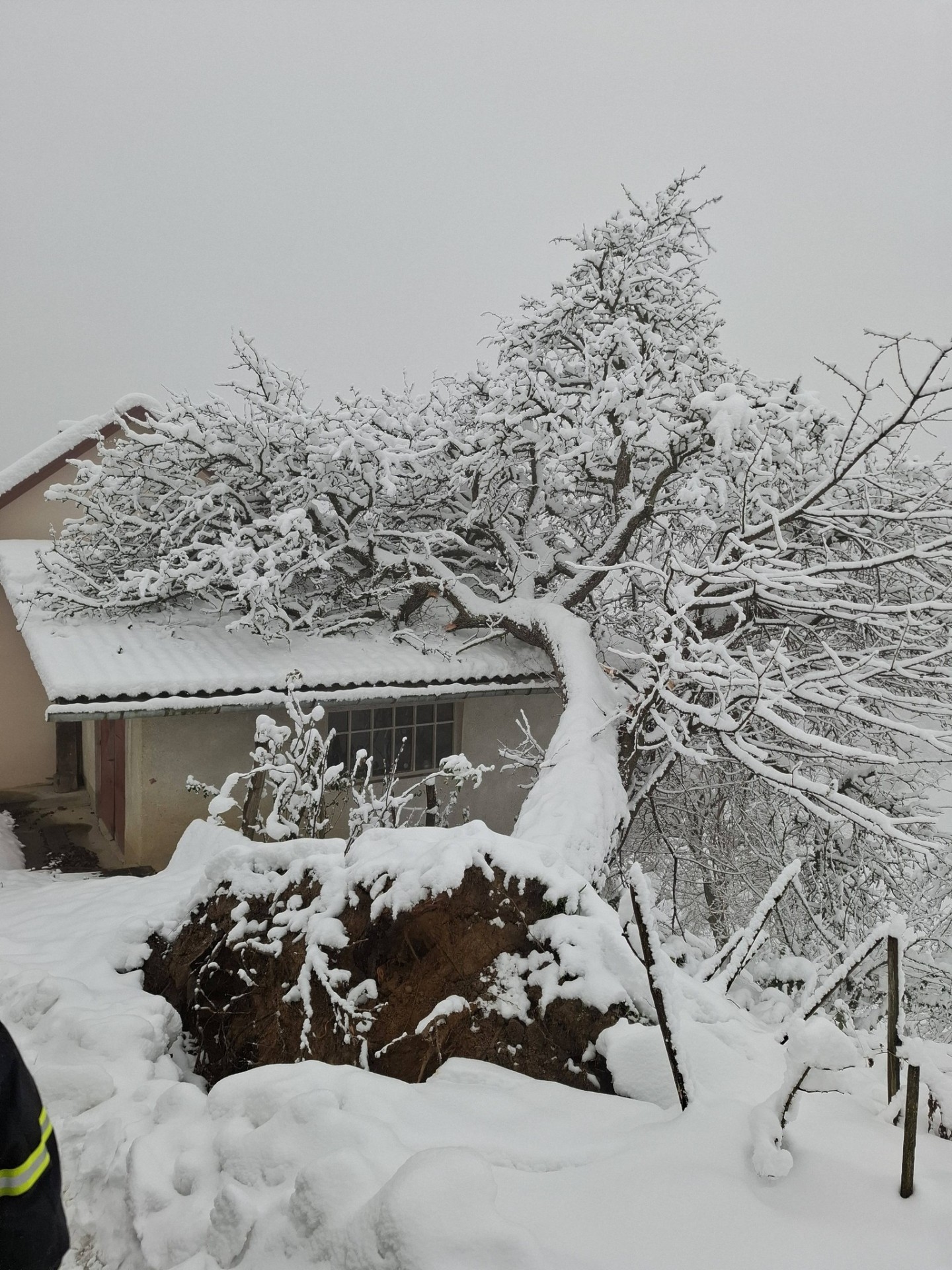 (ГАЛЕРИЈА) СНЕЖНО НЕВРЕМЕ ВО СЛОВЕНИЈА: Наврна половина метар снег, дел од домаќинствата се без струја