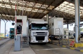 Сопрен увоз на 22 тони киви, имале ларви и инсекти