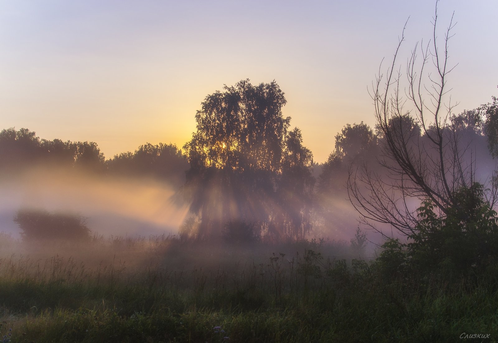 Наутро магливо, преку денот претежно сончево и тивко