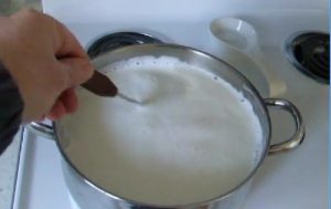 Вака се подготвува здраво домашно кисело млеко (Видео)