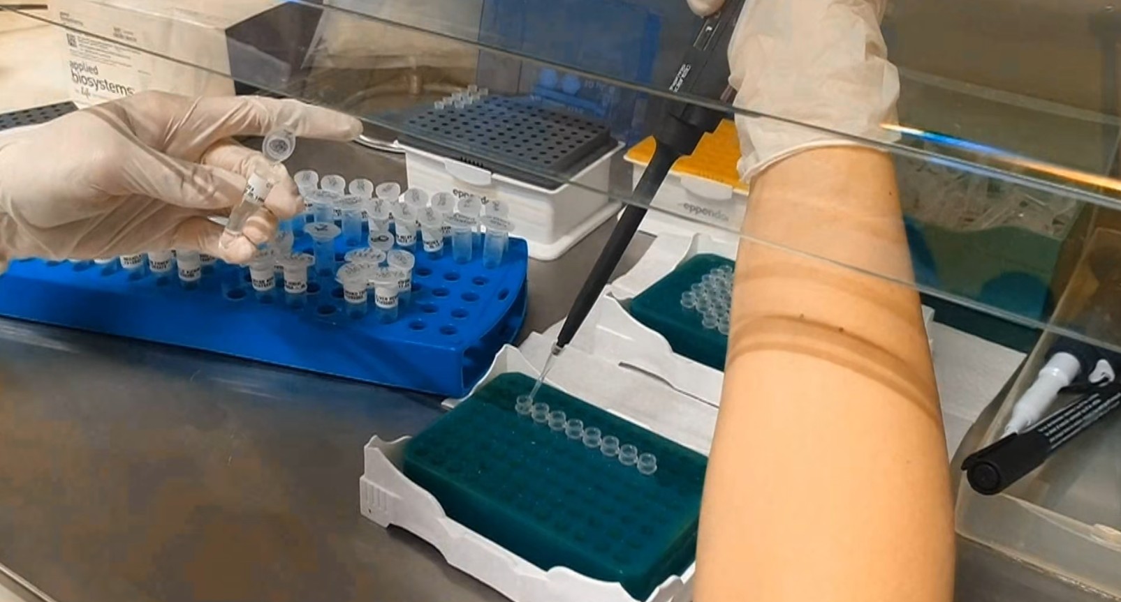 Дали новата варијанта на грип што се шири во Европа ќе ги загрози и граѓаните во Македонија?