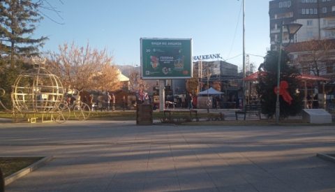 Прилеп блесна за Новата година (ФОТО)