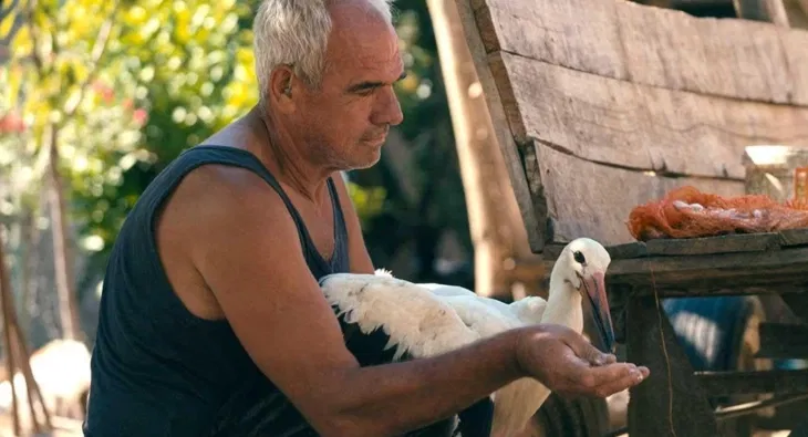 „Приказната за Силјан“ на Котевска не успеа да влезе во топ 15 филмови во трката за „Оскар“