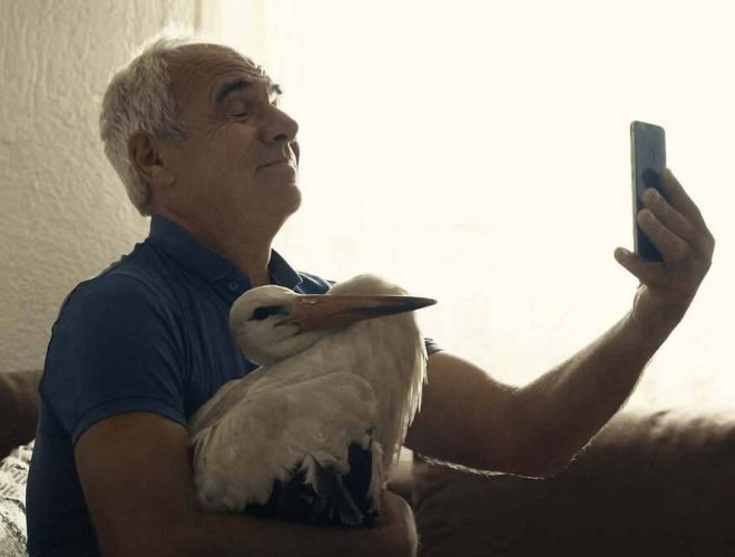 Добар филм и здрави грицки – совршената зимска комбинација!