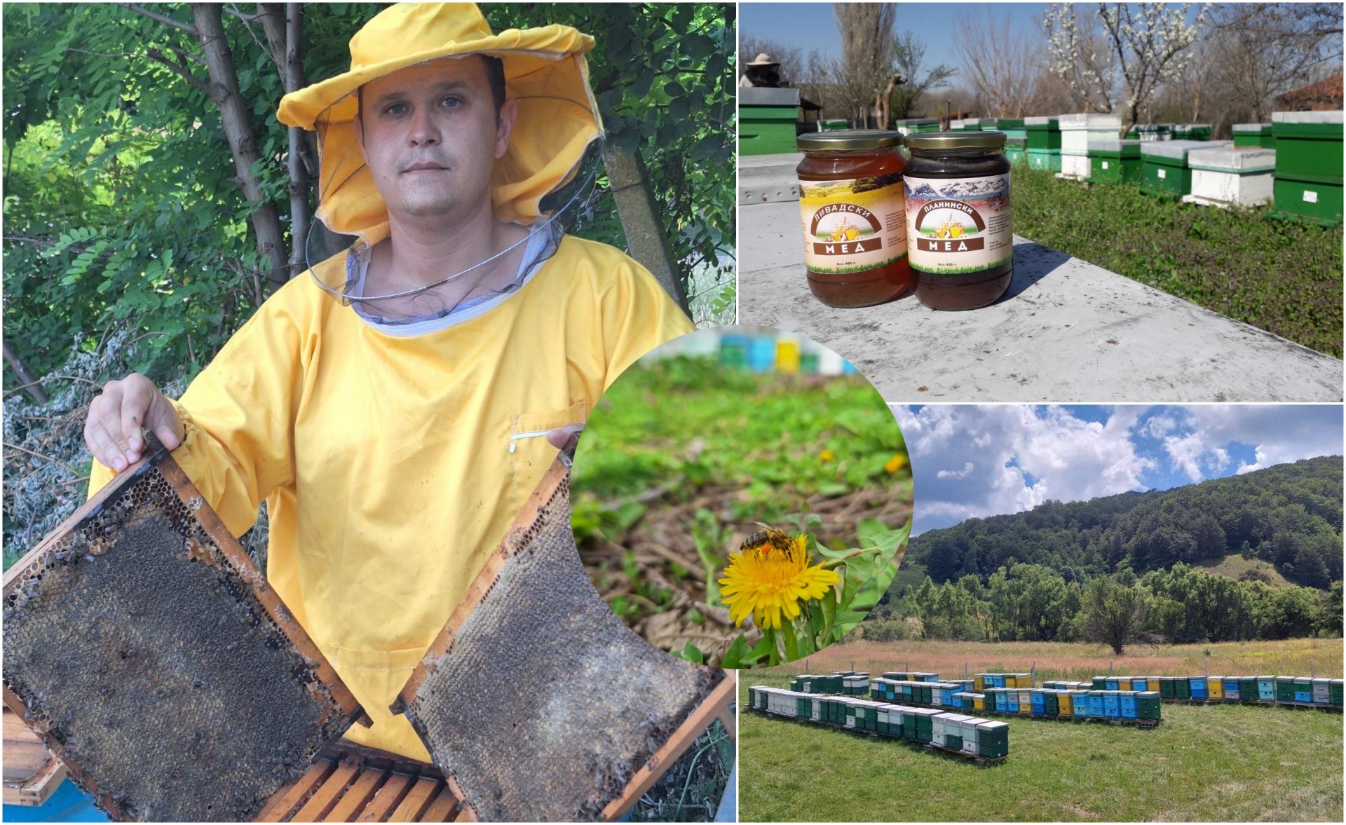 Драган од Штип ја продолжува пчеларската традиција на прадедо му – наследство старо четири генерации што и денес создава природен мед